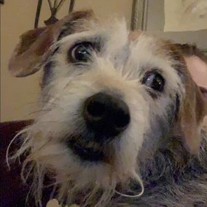 Meet your Posher, Sami